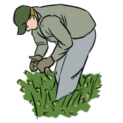 farm hand